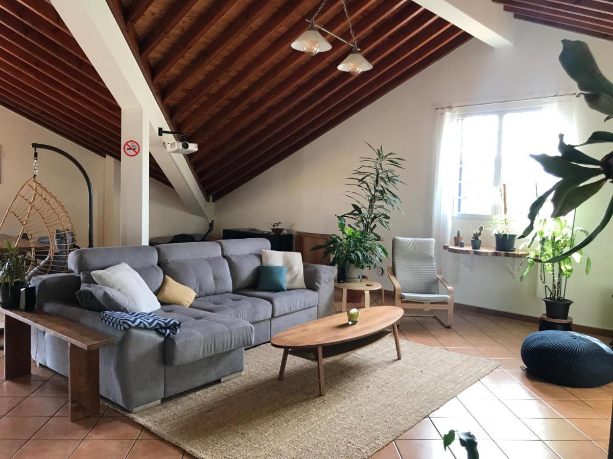 Lava Acores Coliving & Coworking Ribeira Grande Luaran gambar