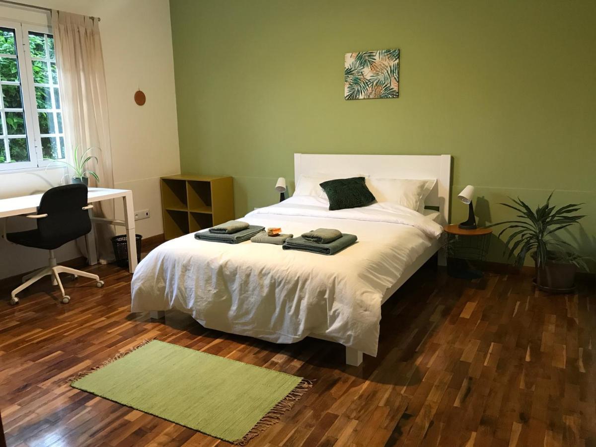 Lava Acores Coliving & Coworking Ribeira Grande Luaran gambar